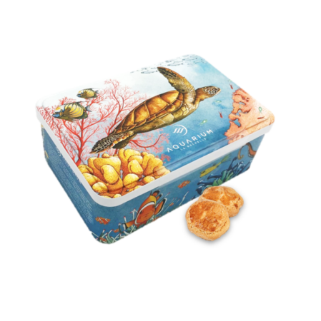 BOITE AQUARIUM
